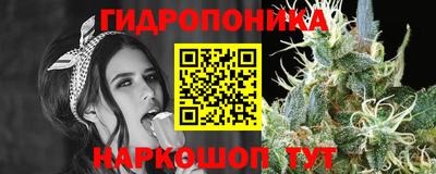 соль курить ск Аргун