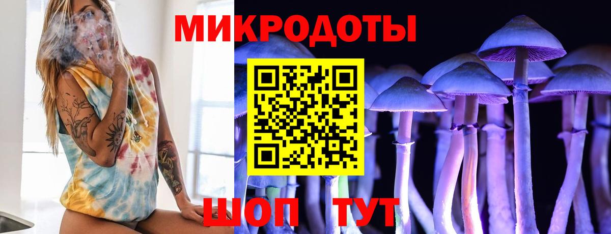 Галлюциногенные грибы прущие грибы  Вход с VPN  Псилоцибиновые грибы Cubensis  Берёзовский 