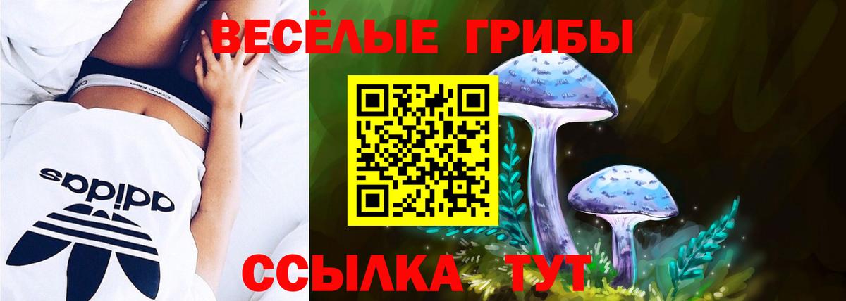 Галлюциногенные грибы MAGIC MUSHROOMS Берёзовский